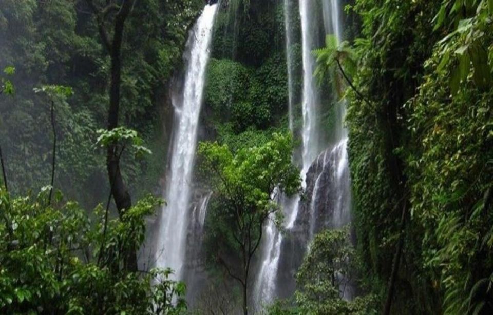 Bali: Secret and Untouristic Tour North West Bali. - About the Driver