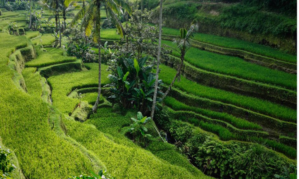 Bali: Secret Garden, Ulun Danu Temple and Waterfall Tour - Pickup and Drop-off Locations