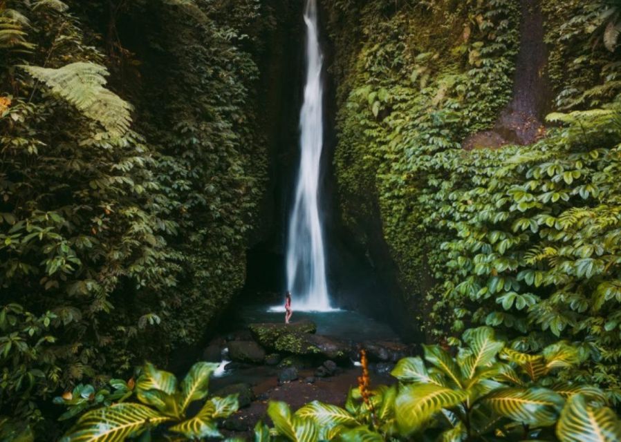 Bali Secret Waterfall Tour - Private and All-Inclusive - Pickup and Drop-off