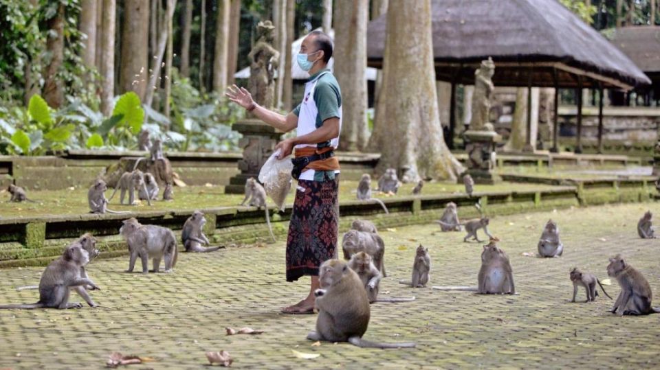 Bali Secret Waterfall Tour - Private and All-Inclusive - Exclusions