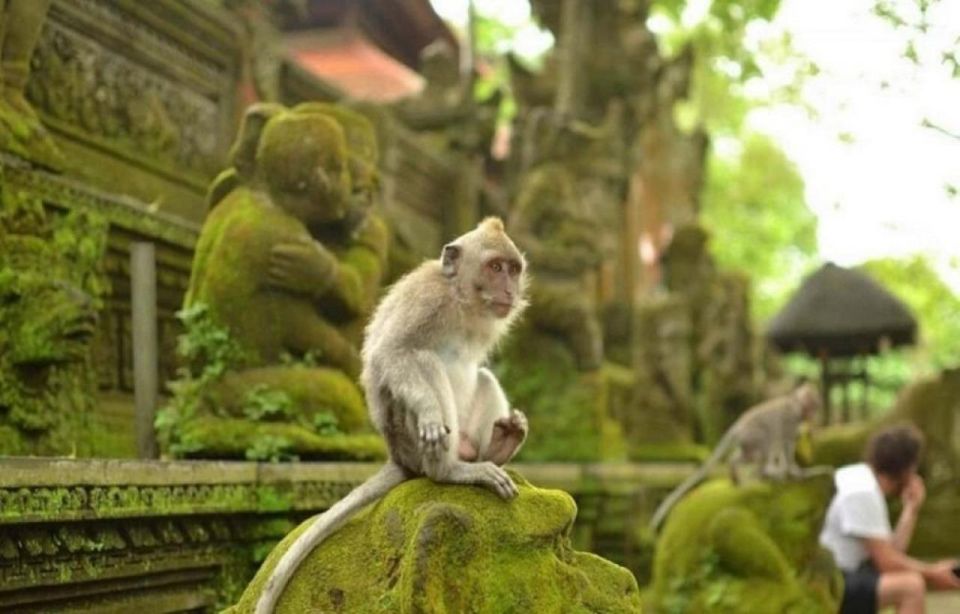 Bali Secret Waterfall Tour - Private and All-Inclusive - Booking and Cancellation