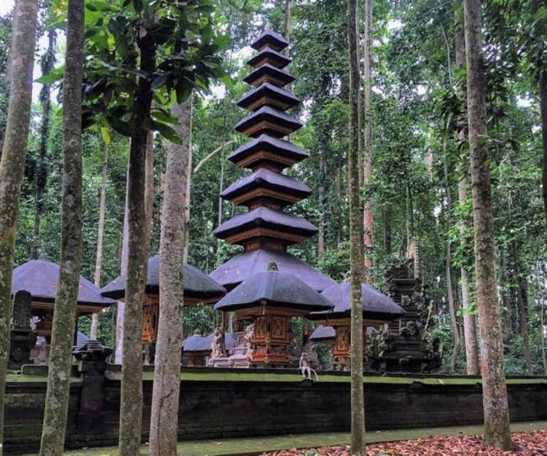 Bali Secret Waterfall Tour - Private and All-Inclusive - Sangeh Monkey Forest
