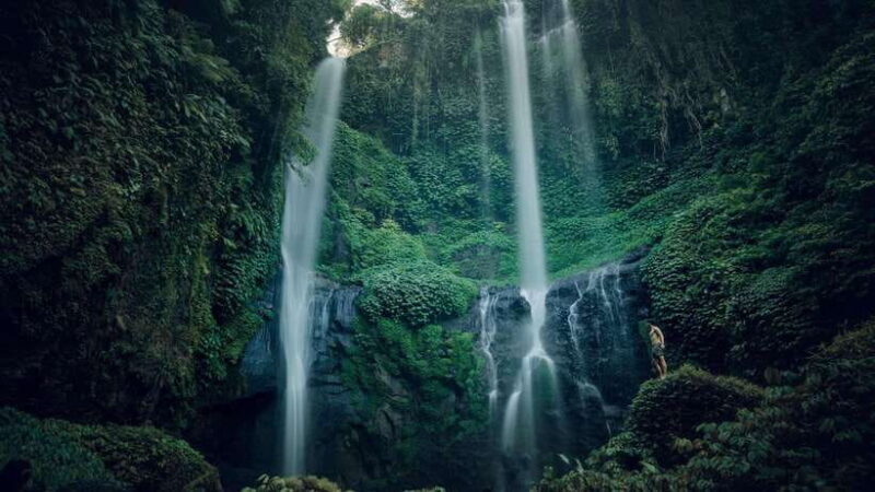 Bali: Sekumpul and Aling Aling Waterfall Tour with Lunch - Introduction to the Waterfall Tour in Bali