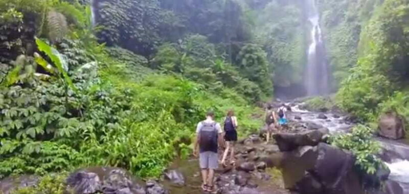 Bali: Sekumpul Waterfall and Fiji Waterfall Private Tour - Key Points