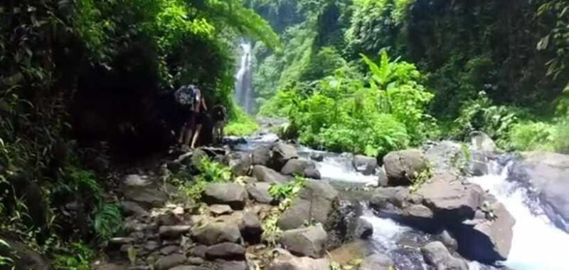 Bali: Sekumpul Waterfall and Fiji Waterfall Private Tour - What to Expect from Your Bali Waterfall Day Trip