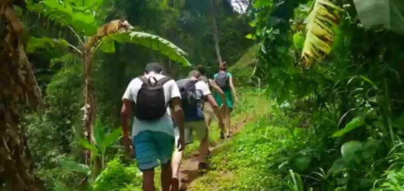 Bali: Sekumpul Waterfall and Fiji Waterfall Private Tour - What Could Be Better?