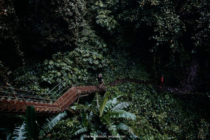 Bali: Sekumpul Waterfall, Ulun Danu Temple, Wanagiri Hills - Itinerary Highlights