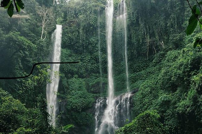 Bali Sekumpul With Fiji Waterfall & Bedugul Temple (Private Tour) - Inclusions and Exclusions