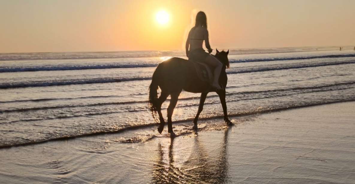 Bali: Seminyak Beach Horse Riding Experience - Key Points
