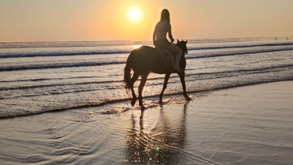Bali: Seminyak Beach Horse Riding Experience - Key Highlights