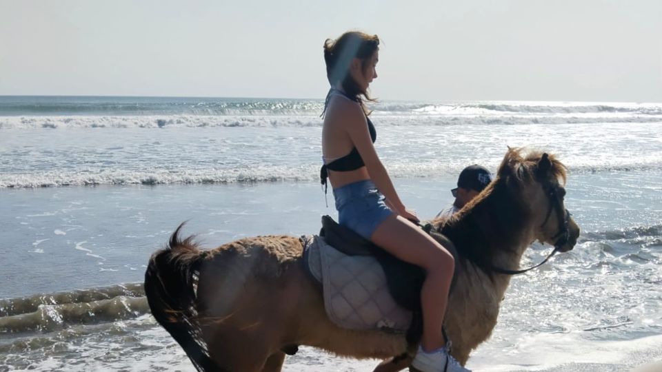 Bali: Seminyak Beach Horse Riding Experience - Riding Along Seminyak Beach