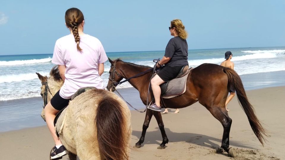 Bali: Seminyak Beach Horse Riding Experience - Meeting Point and Directions