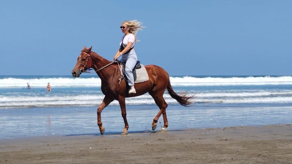 Bali: Seminyak Beach Horse Riding Experience - Frequently Asked Questions