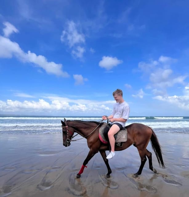 Bali: Seminyak Beach Horseback Adventure - Good To Know
