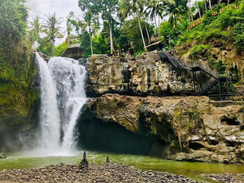 Bali: Shared or Private Highlights Ubud with Cretya Jungle - An Overview of the Tour Experience