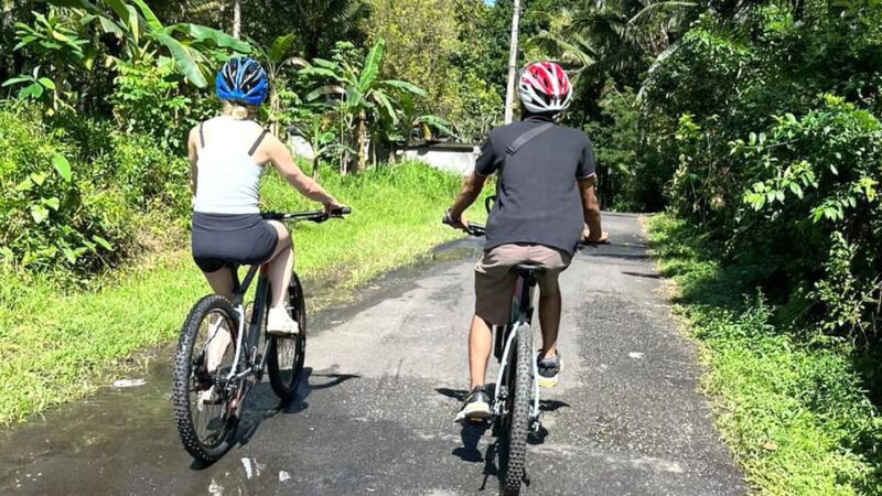 Bali: Sidemen Silver Jewelry Workshop and Cycling Tour - Tour Inclusions