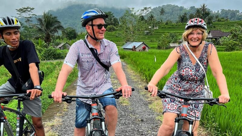Bali: Sidemen Silver Jewelry Workshop and Cycling Tour - Experience Highlights