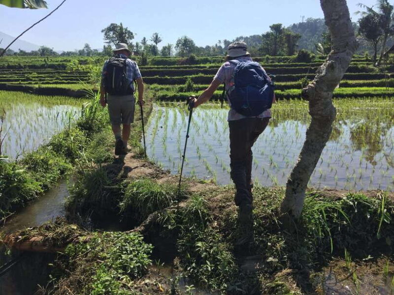 Bali: Sidemen Trekking with Besakih Temple Tour/Rafting - Key Points