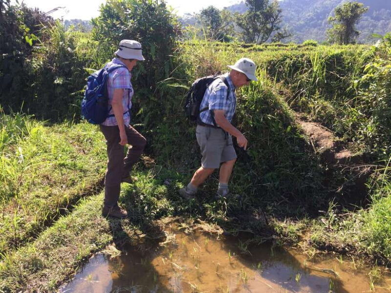 Bali: Sidemen Trekking with Besakih Temple Tour/Rafting - The Experience: A Walk Through Bali’s Heartland
