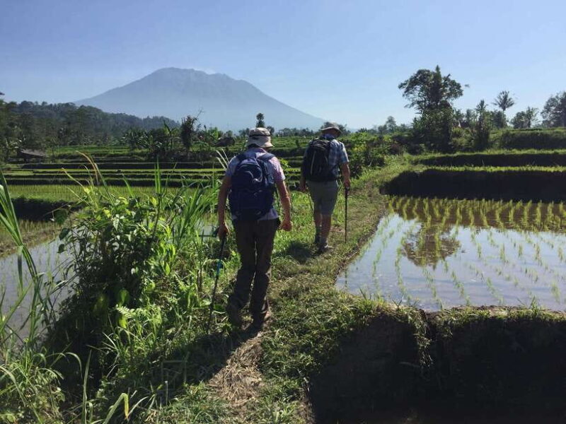 Bali: Sidemen Trekking with Besakih Temple Tour/Rafting - Authenticity and Local Flavor