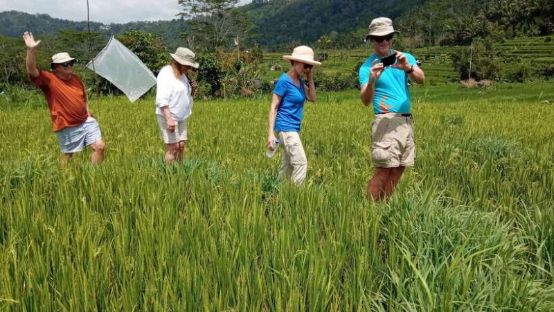 Bali: Sidemen Trekking with Besakih Temple Tour/Rafting - The Sum Up