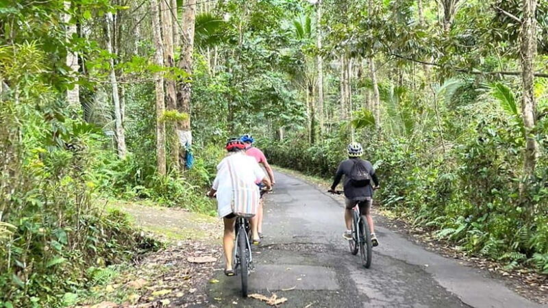 Bali: Sidemen Valley Cycling Tour with Gembleng Waterfall - FAQ