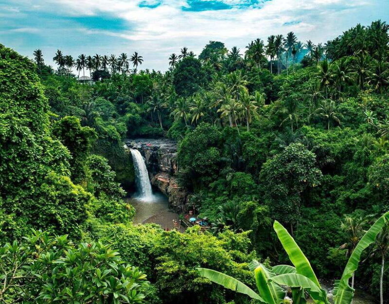 Bali: Silver Class in Kuta With Optional Tour And Activities - The Reviews: Authentic Voices