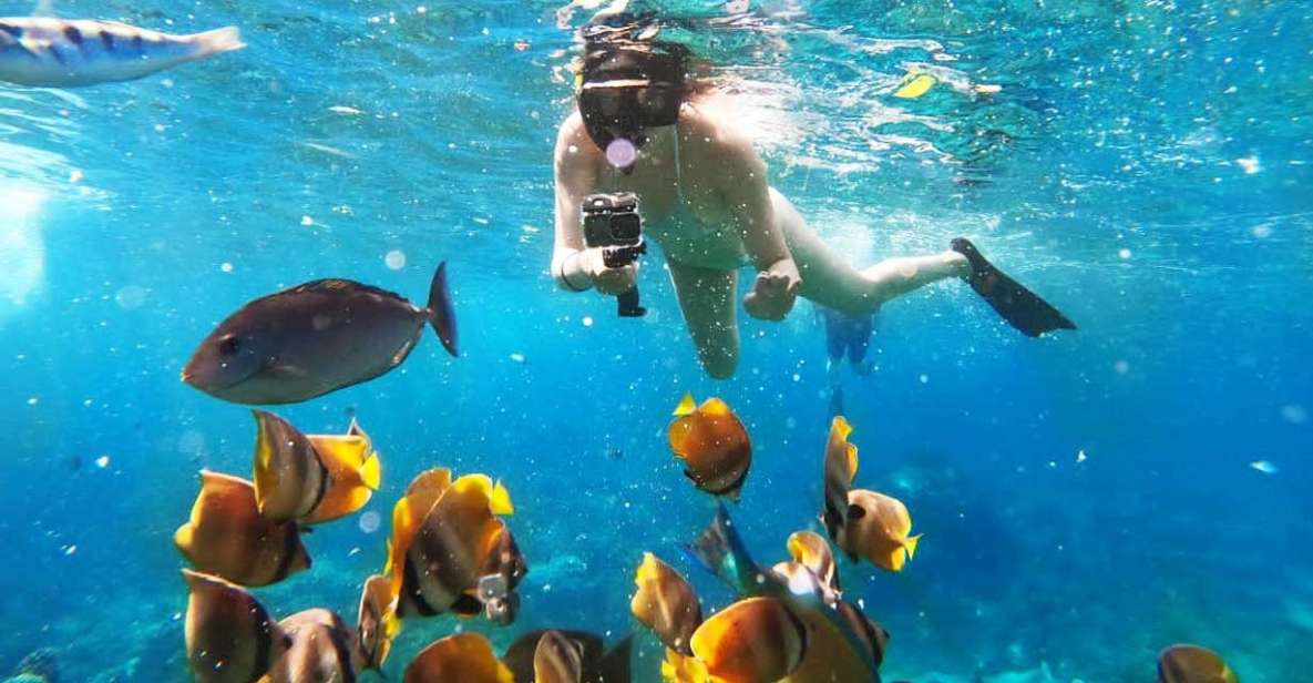 Bali: Snorkeling at Blue Lagoon and Tanjung Jepun - Key Points