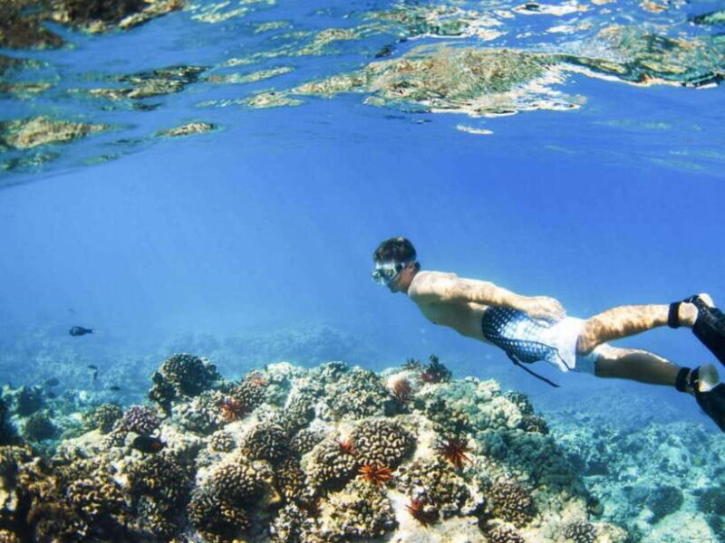 Bali: Snorkeling at Blue Lagoon and Tanjung Jepun with Lunch - Introduction: An Experience Designed for Easy Enjoyment