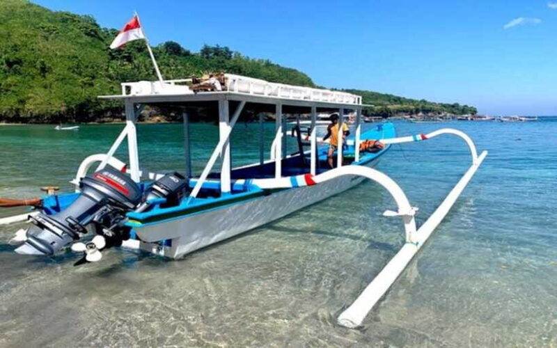Bali: Snorkeling at Blue Lagoon and Tanjung Jepun with Lunch - The Experience Provider: Tropical Trails Bali