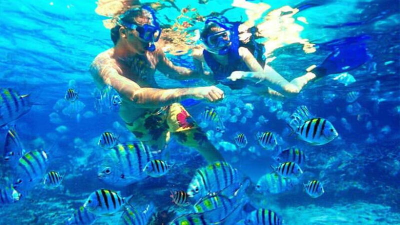 Bali: Snorkeling at Blue Lagoon and Tanjung Jepun with Lunch - Practical Tips for Your Snorkeling Day