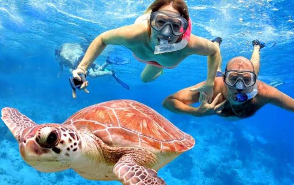 Bali: Snorkeling at Blue Lagoon Beach & Ubud Tour - Key Points