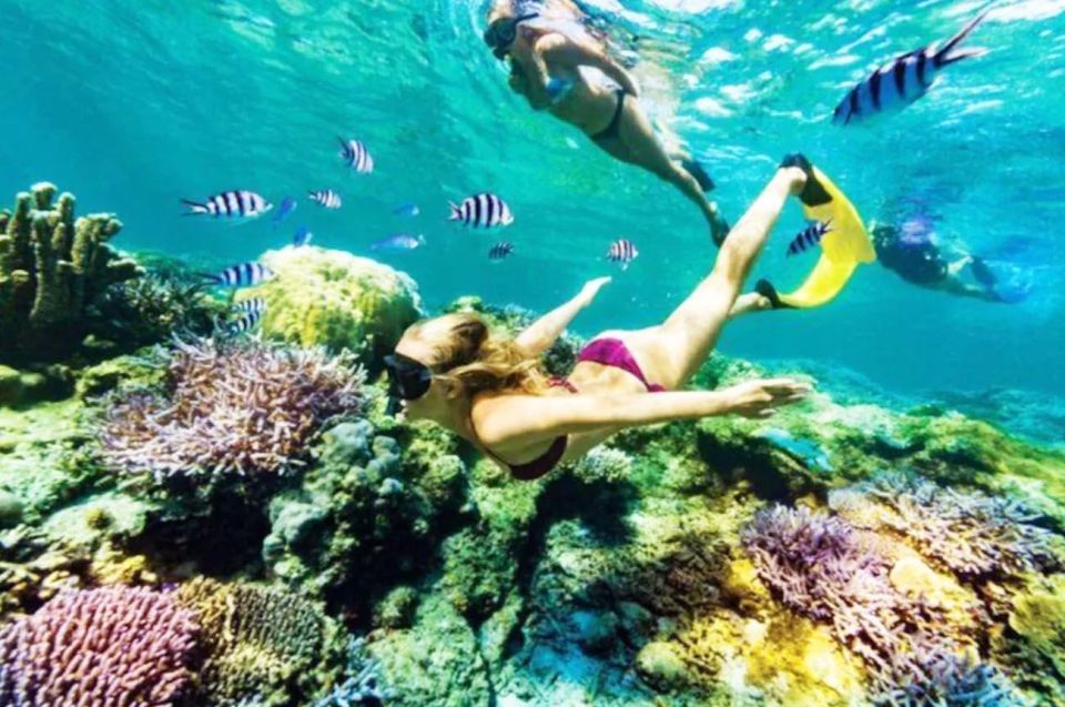Bali: Snorkeling at Blue Lagoon Beach & Ubud Tour - Snorkeling at Blue Lagoon Beach