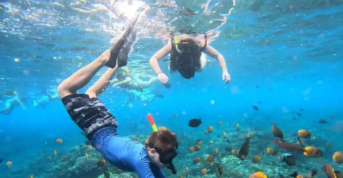 Bali: Snorkeling at Blue Lagoon Beach & Ubud Tour - Exploring Tegalalang Rice Terraces
