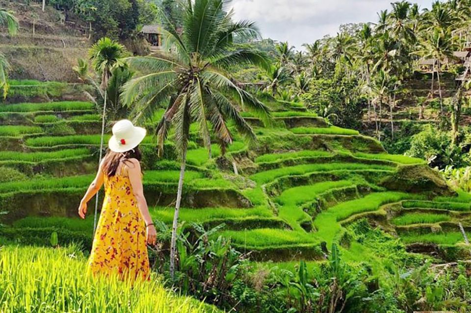 Bali: Snorkeling at Blue Lagoon Beach & Ubud Tour - Pre-Tour Requirements and Preparation