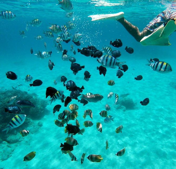 Bali: Snorkeling at Blue Lagoon Beach & Ubud Tour - Frequently Asked Questions