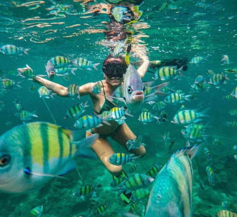 Bali : Snorkeling at two Spots with Lunch and transport - Key Points