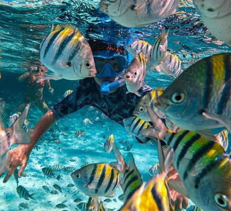 Bali : Snorkeling at two Spots with Lunch and transport - An In-Depth Look at the Experience