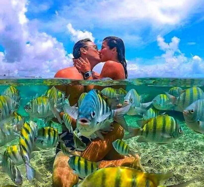 Bali : Snorkeling at two Spots with Lunch and transport - Is This Tour Right for You?
