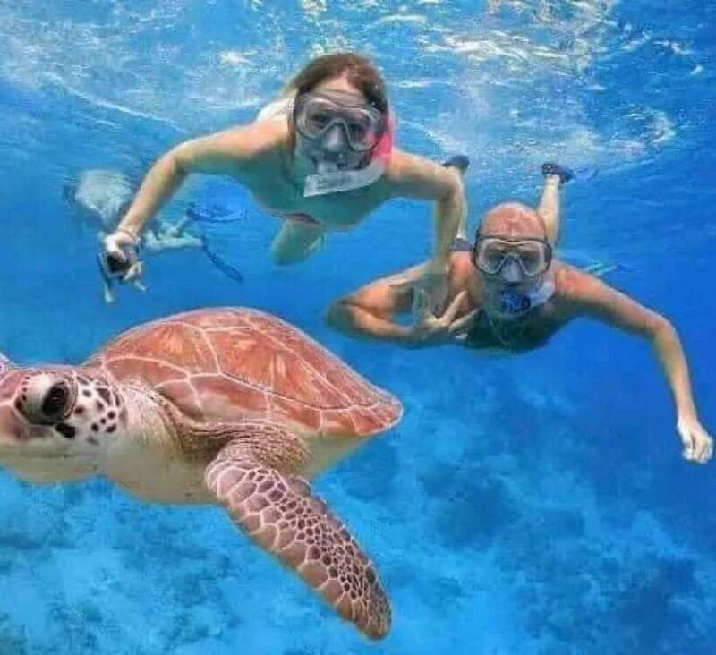 Bali : Snorkeling at two Spots with Lunch and transport - The Sum Up