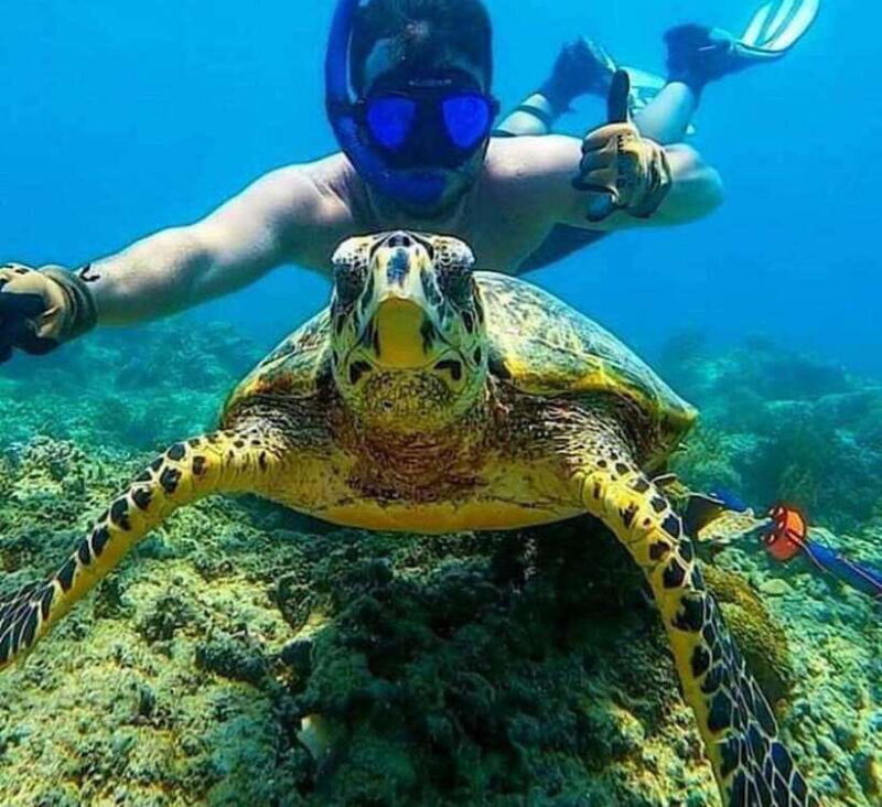Bali : Snorkeling at two Spots with Lunch and transport - FAQs