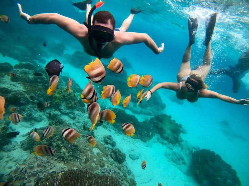Bali Snorkeling: Blue Lagoon and Tanjung Jepun All Inclusive - The Practicalities: Transport, Timing, and What You Need To Know