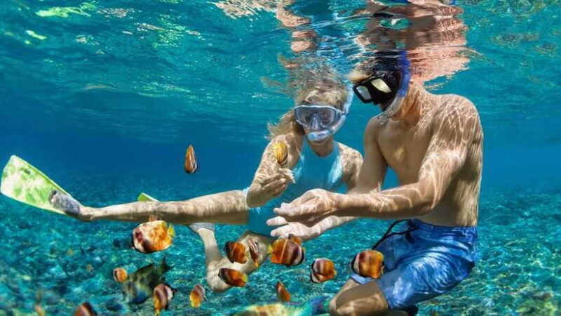 Bali Snorkeling: Blue Lagoon and Tanjung Jepun All Inclusive - The Bottom Line: Who Should Consider This Tour?