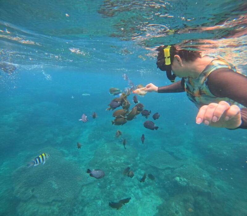 Bali: Snorkeling Experience in Blue Lagoon and Tanjung Jepun - Introduction: What to Expect from This Bali Snorkeling Adventure