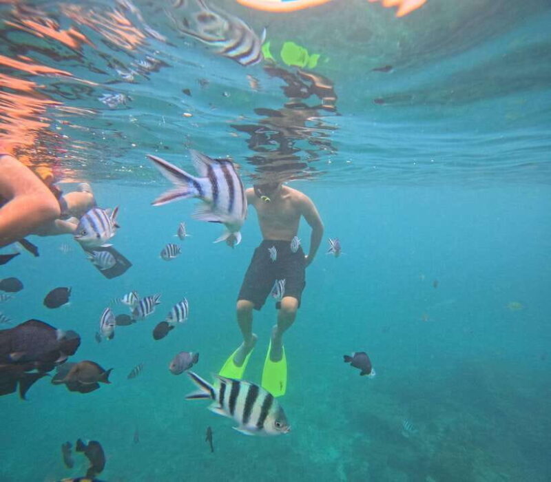 Bali: Snorkeling Experience in Blue Lagoon and Tanjung Jepun - What Travelers Say
