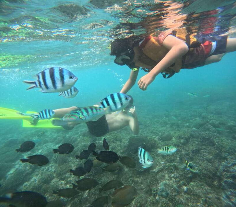 Bali: Snorkeling Experience in Blue Lagoon and Tanjung Jepun - Practical Considerations