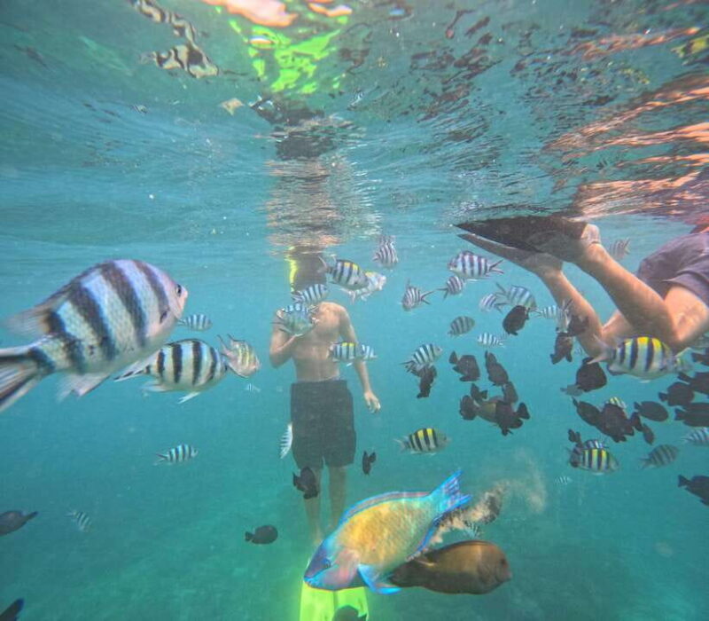 Bali: Snorkeling Experience in Blue Lagoon and Tanjung Jepun - Who Should Consider This Tour?