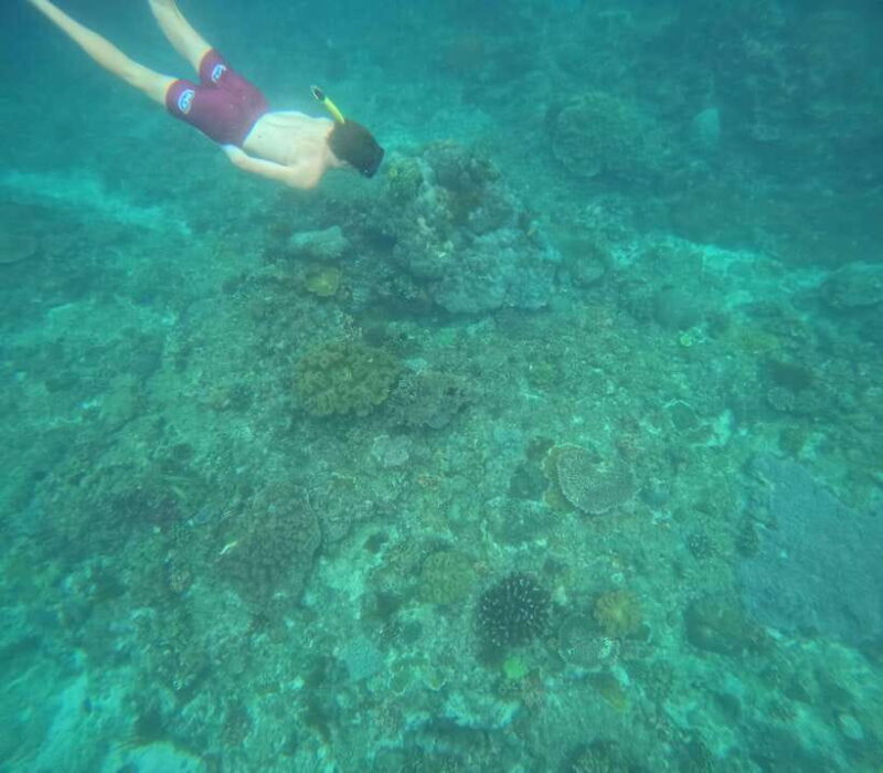 Bali: Snorkeling Experience in Blue Lagoon and Tanjung Jepun - The Sum Up