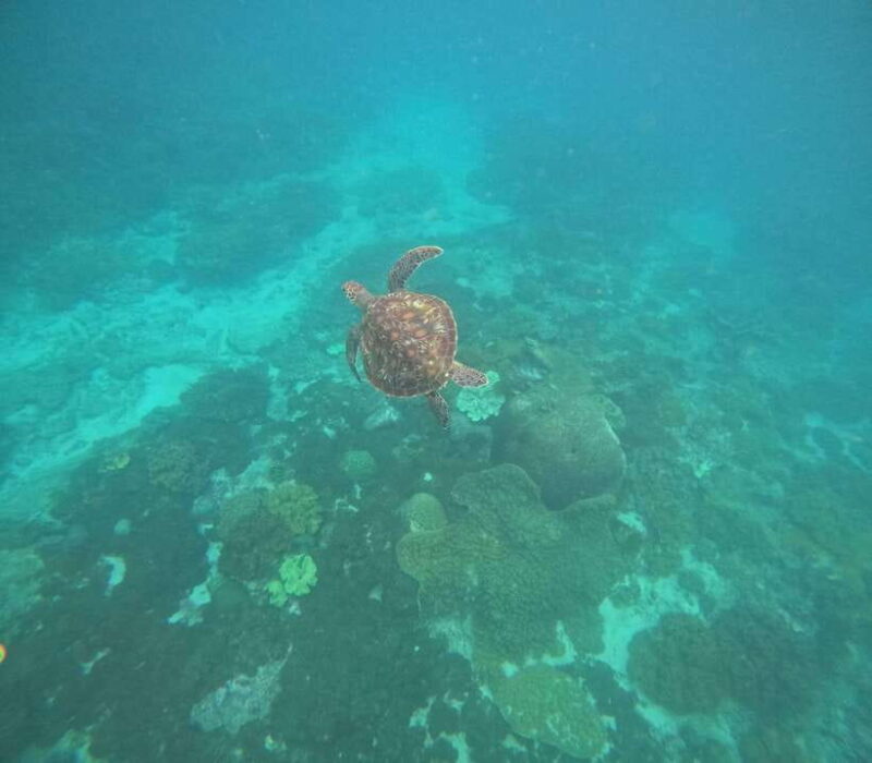 Bali: Snorkeling Experience in Blue Lagoon and Tanjung Jepun - FAQ