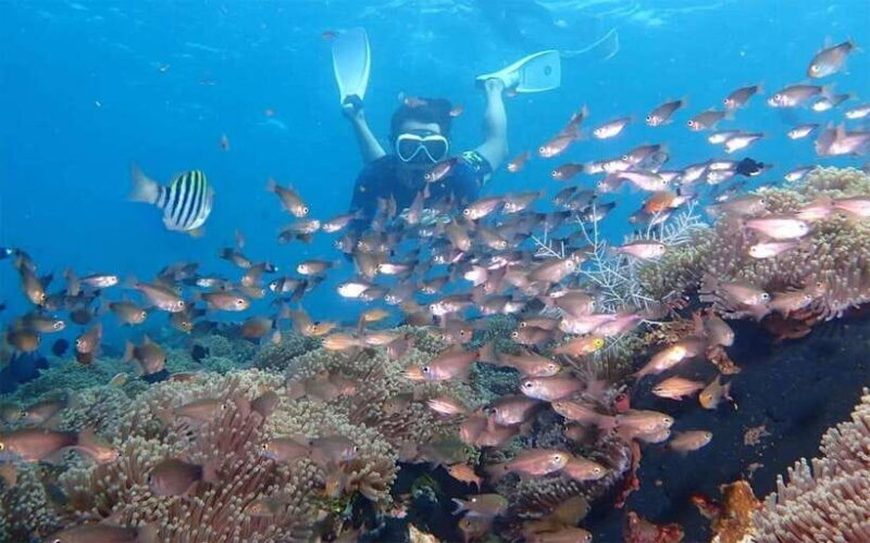 Bali: Snorkeling Tour with USAT Liberty Shipwreck - Overview and What to Expect